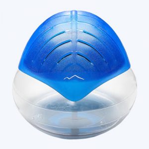 A blue and clear bowl with water inside of it